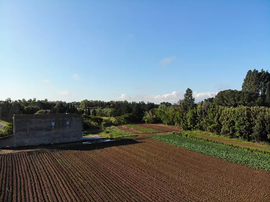 Immagine 4 di Casa indipendente in vendita  a San Sperate