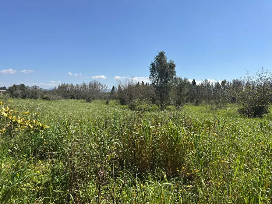 Immagine 3 di Terreno agricolo in vendita  a San Sperate