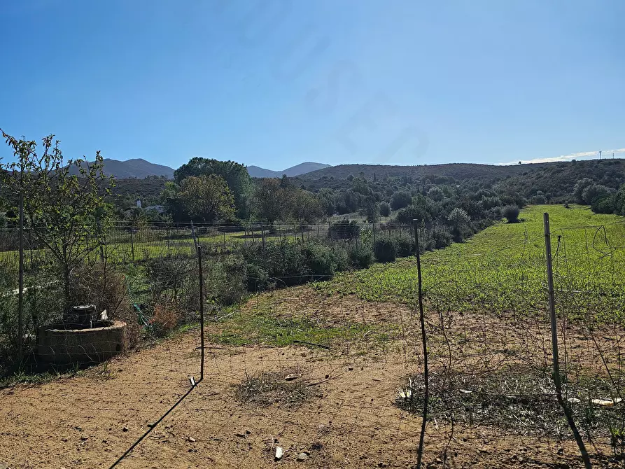 Immagine 4 di Terreno agricolo in vendita  in Via delle More a Quartucciu