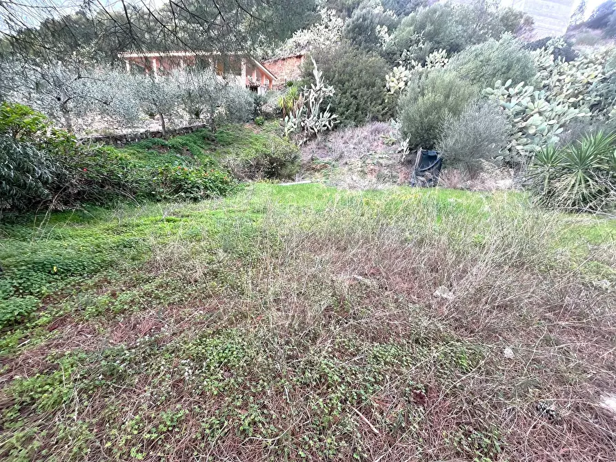 Immagine 2 di Terreno agricolo in vendita  in Via dei Mandorletti a Maracalagonis