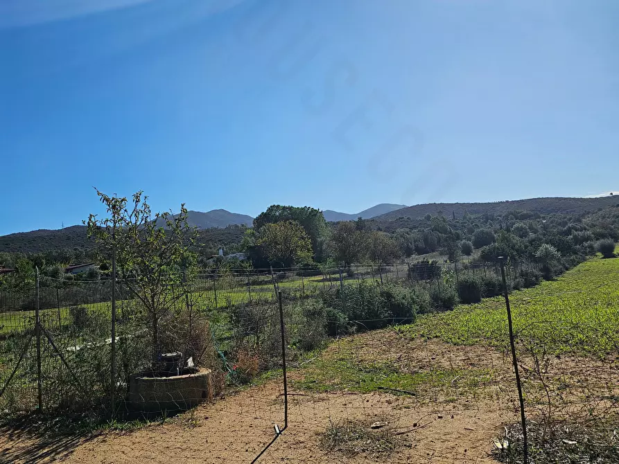 Immagine 5 di Terreno agricolo in vendita  in Via delle More a Quartucciu