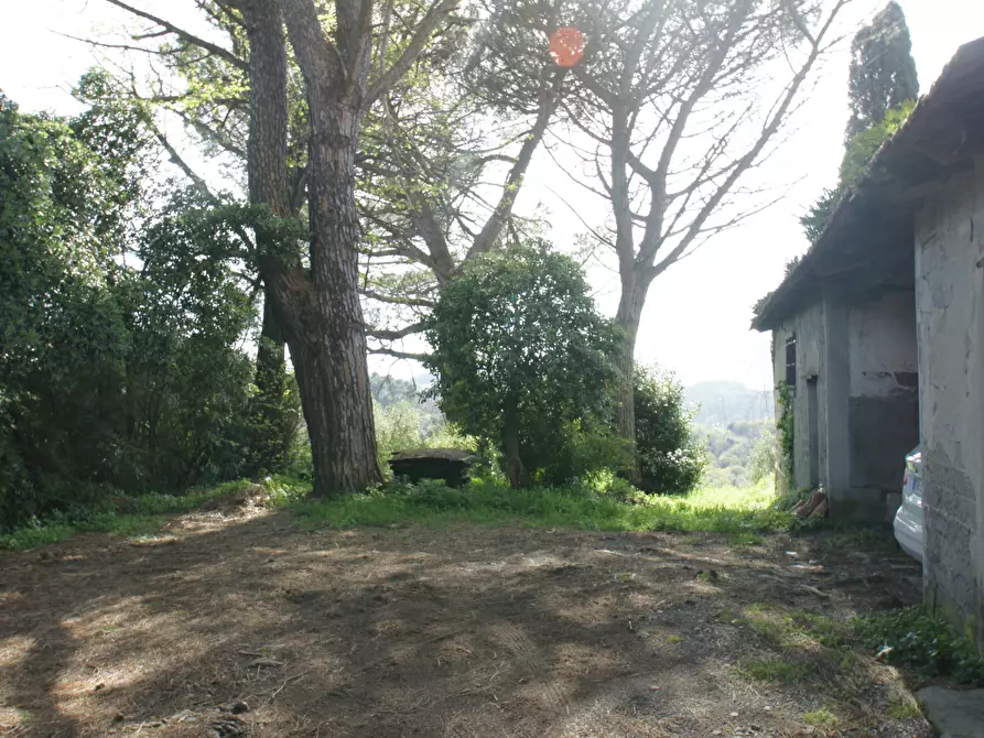 Immagine 9 di Casa trifamiliare in vendita  a Arcola