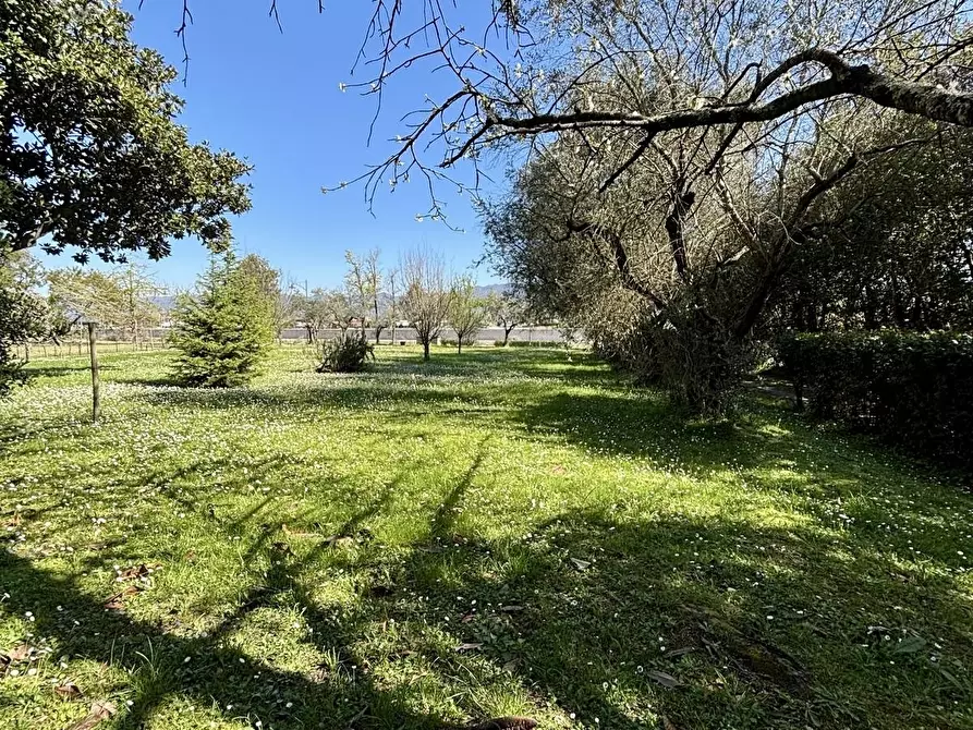 Immagine 15 di Casa semindipendente in vendita  a Ameglia