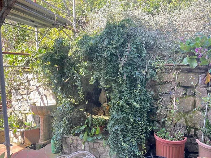 Immagine 6 di Casa trifamiliare in vendita  a Tresana