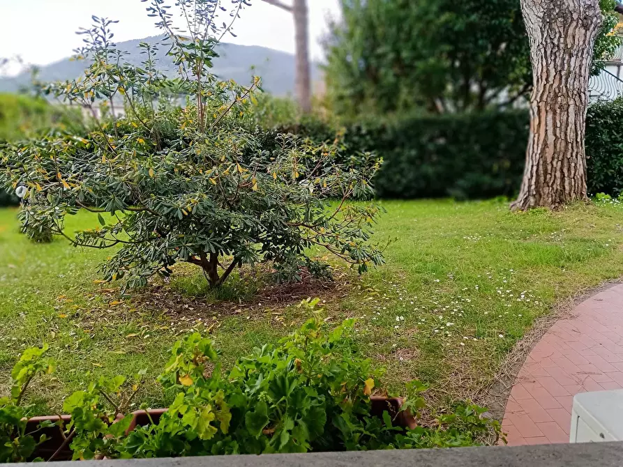 Immagine 18 di Casa semindipendente in vendita  a Ameglia