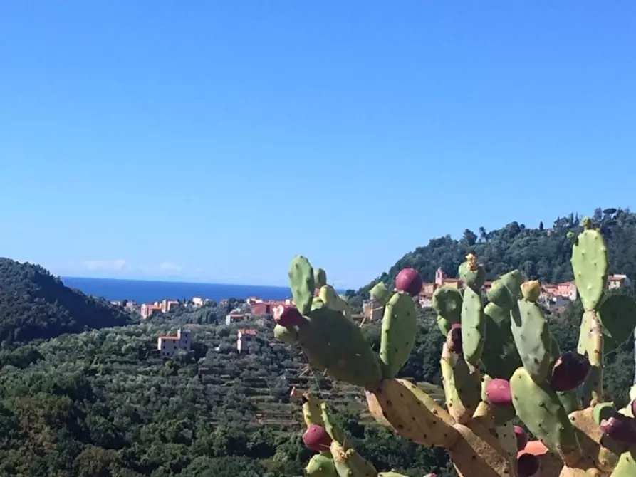 Immagine 3 di Pentalocale in vendita  a Arcola