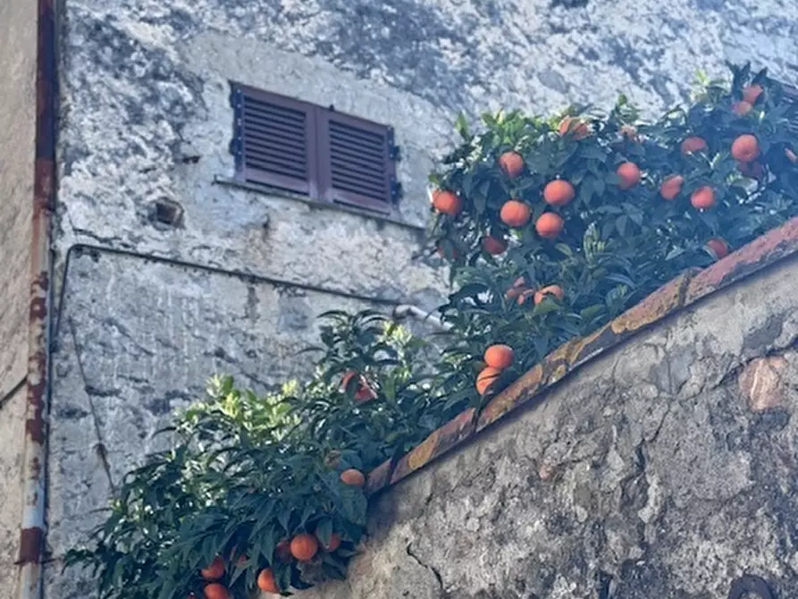 Immagine 18 di Casa trifamiliare in vendita  a Arcola