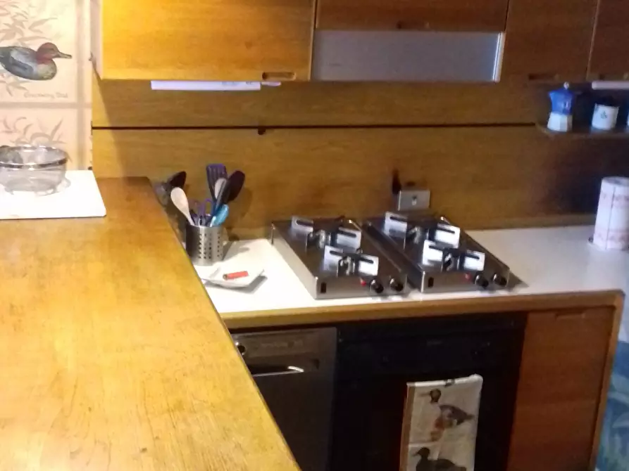 Immagine 23 di Terratetto in affitto  in Via Nuova 1 a Ameglia