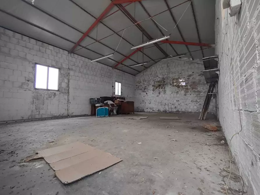 Immagine 21 di Casa indipendente in vendita  a Morro D'alba