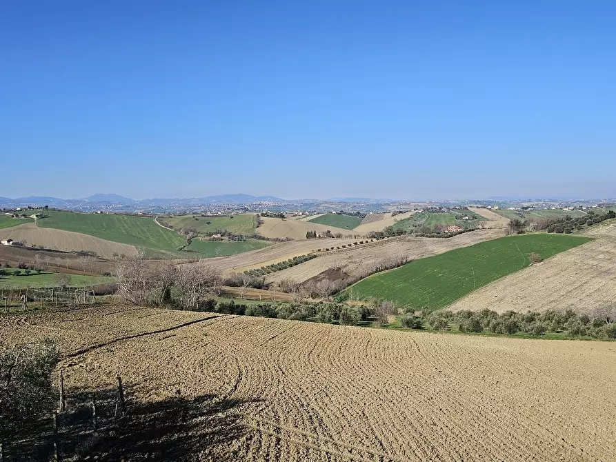 Immagine 3 di Casa indipendente in vendita  in Via Fontenova snc a Jesi