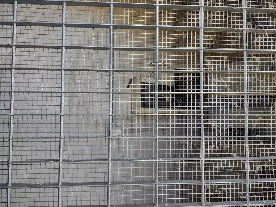 Immagine 12 di Terreno agricolo in vendita  a Jesi