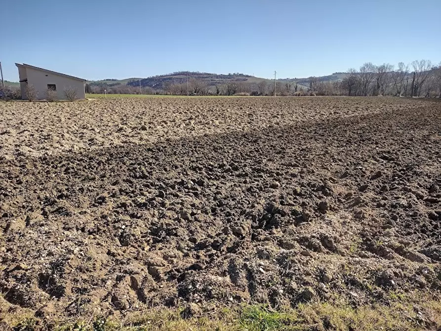 Immagine 6 di Terreno agricolo in vendita  a Jesi