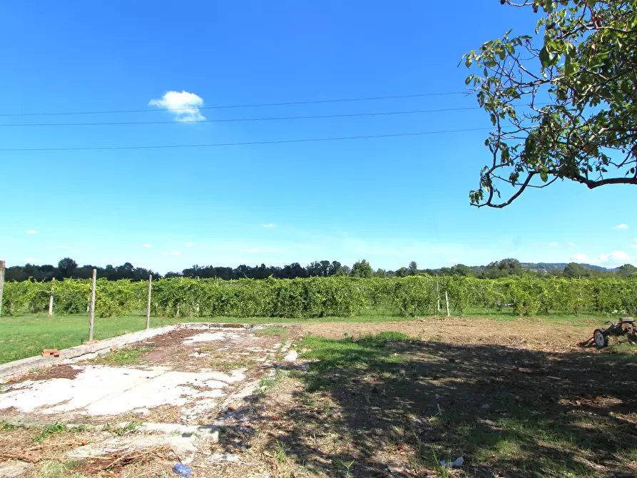 Immagine 4 di Porzione di casa in vendita  in Via Monteveglio a Valsamoggia