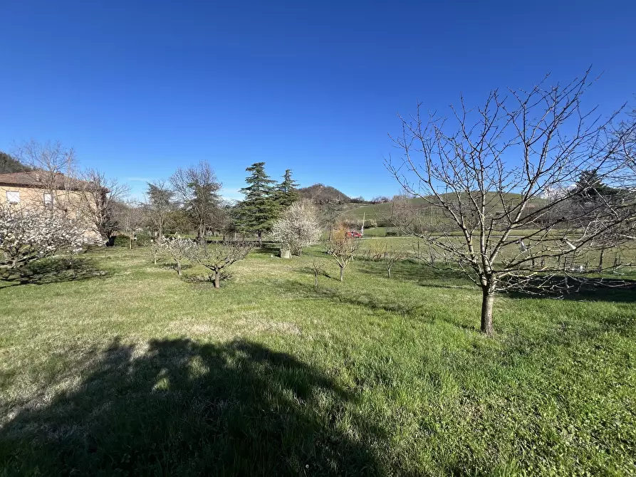 Immagine 10 di Terreno agricolo in vendita  in Via Tiola a Valsamoggia