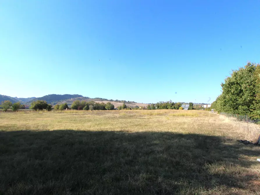 Immagine 5 di Terreno industriale in vendita  in Via Cassola a Valsamoggia
