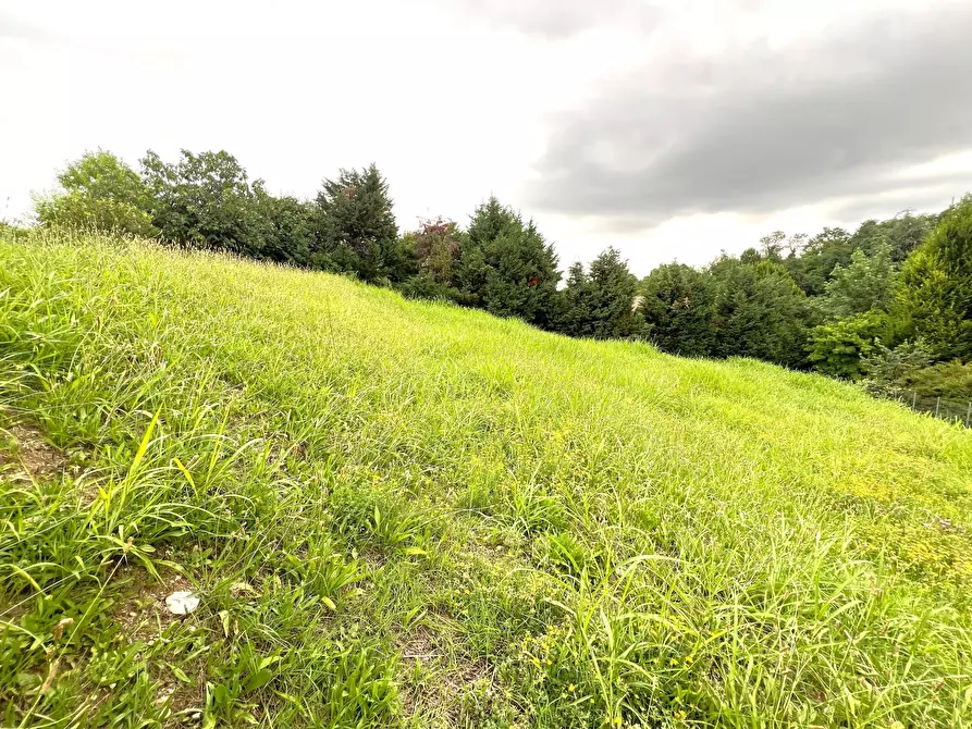 Immagine 10 di Terreno agricolo in vendita  in Via Stella a Valsamoggia