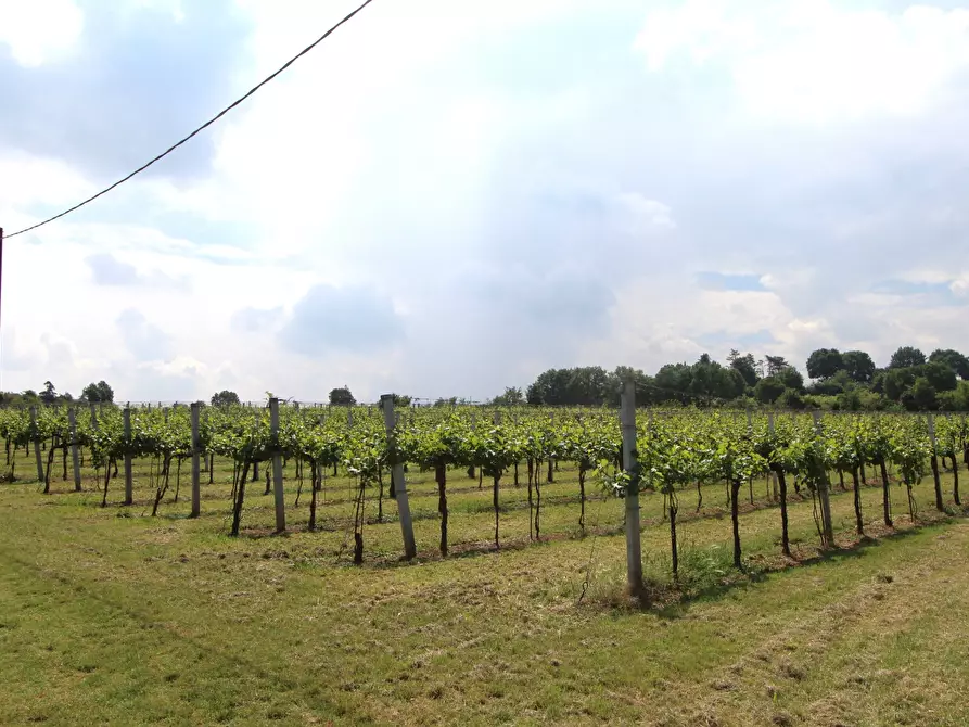 Immagine 7 di Terreno agricolo in vendita  in Via San Francesco a Valsamoggia