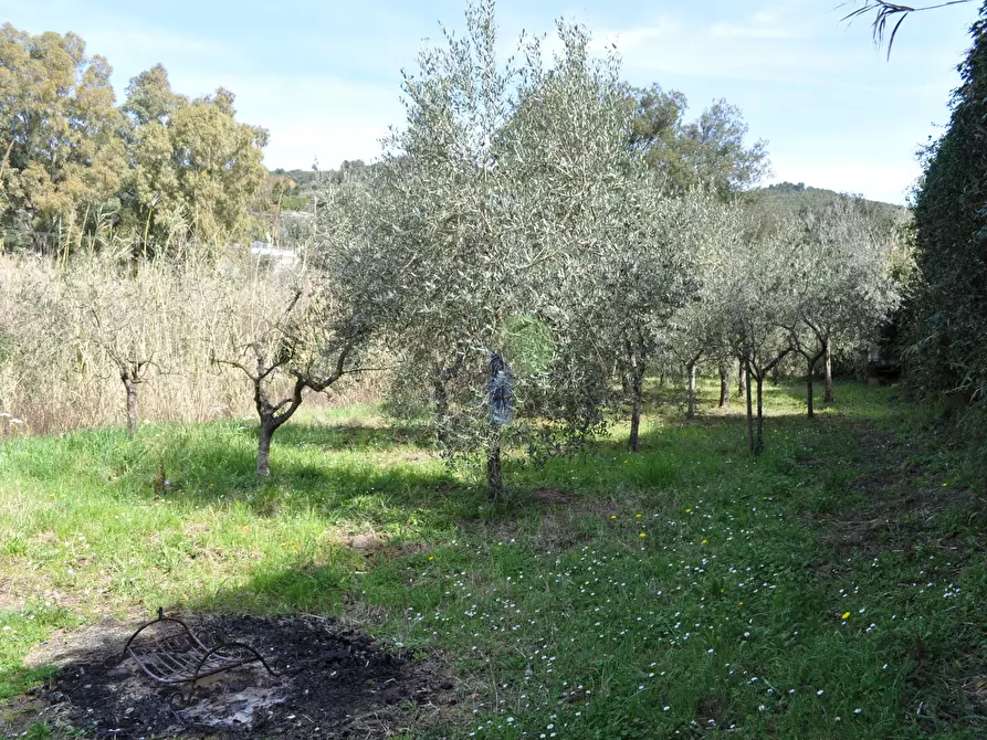 Immagine 1 di Terreno agricolo in vendita  in Via di Popogna 441 a Livorno
