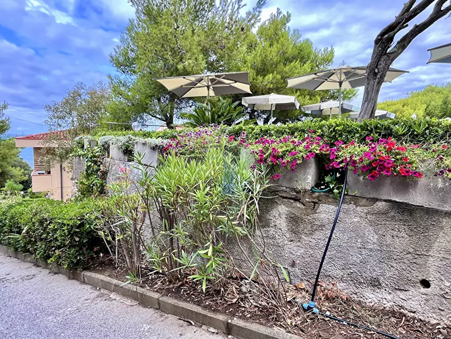 Immagine 18 di Appartamento in vendita  in Via Aurelia 820 a Rosignano Marittimo