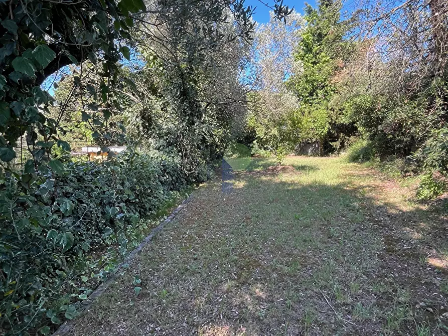 Immagine 20 di Terreno agricolo in vendita  in Via delle More 8 a Livorno