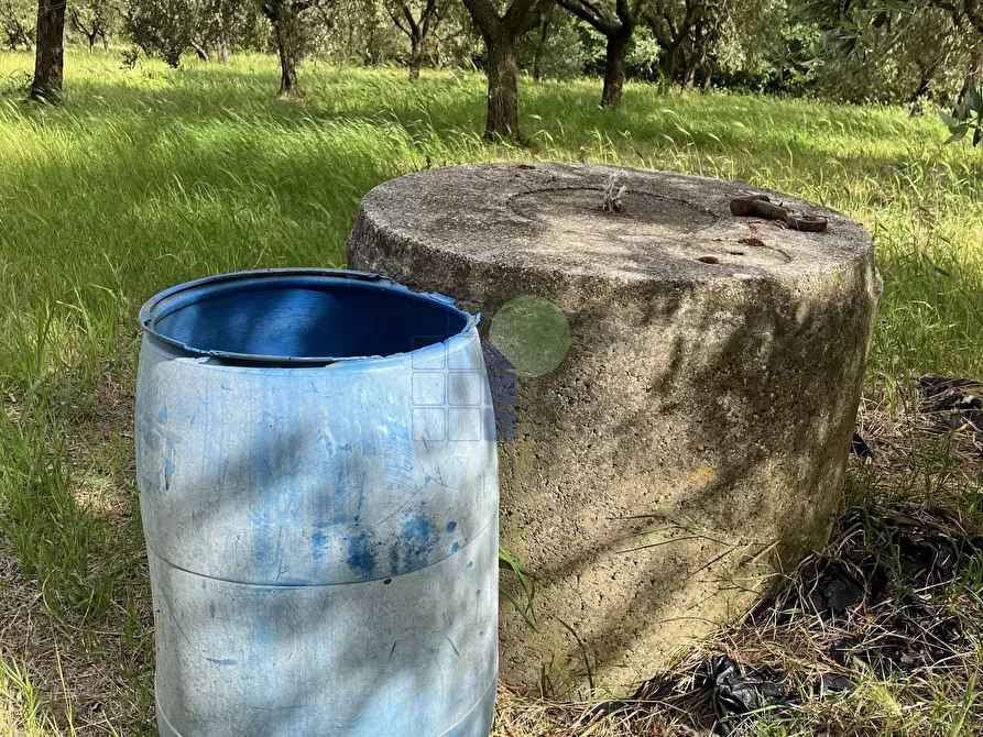 Immagine 16 di Rustico / casale in vendita  in Via Traversa Livornese 11 a Rosignano Marittimo