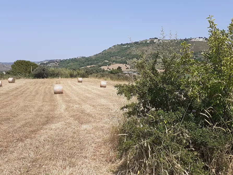 Immagine 55 di Terreno agricolo in vendita  in c.da Poi a Palazzolo Acreide