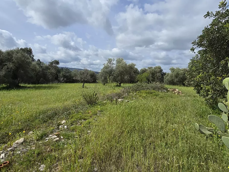 Immagine 11 di Villa in vendita  in Cavasecca a Canicattini Bagni