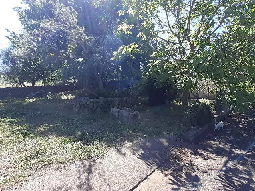 Immagine 32 di Rustico / casale in vendita  in Strada Provinciale 24 21 a Noto
