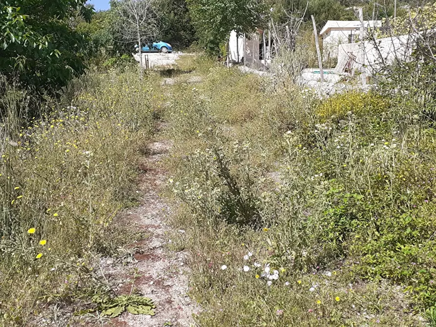 Immagine 3 di Terreno agricolo in vendita  in Strada Statale 287 a Noto