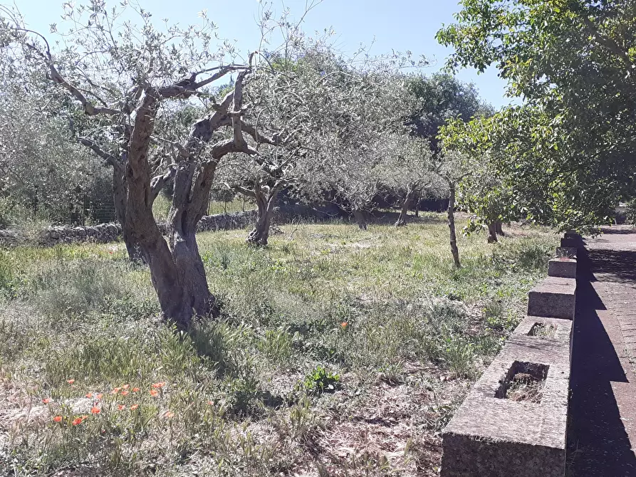 Immagine 44 di Rustico / casale in vendita  in Strada Provinciale 24 21 a Noto