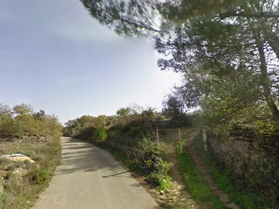 Immagine 1 di Terreno agricolo in vendita  in contrada Santa Lucia di Mendola a Noto