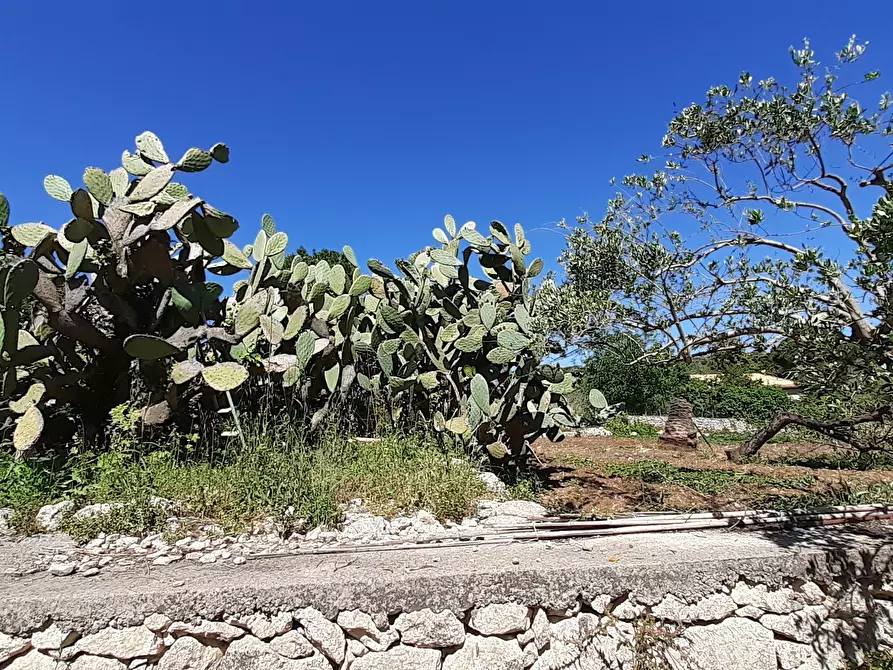 Immagine 37 di Rustico / casale in vendita  in Strada Provinciale 24 21 a Noto