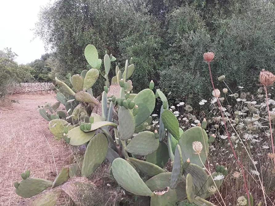 Immagine 71 di Villetta a schiera in vendita  in Via Acre 19 a Palazzolo Acreide