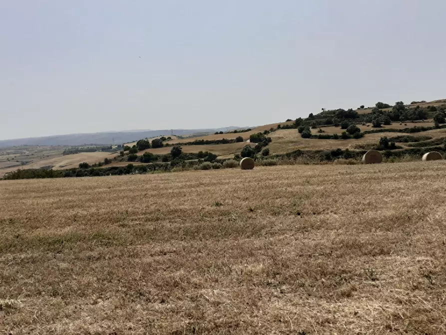Immagine 36 di Terreno agricolo in vendita  in c.da Poi a Palazzolo Acreide