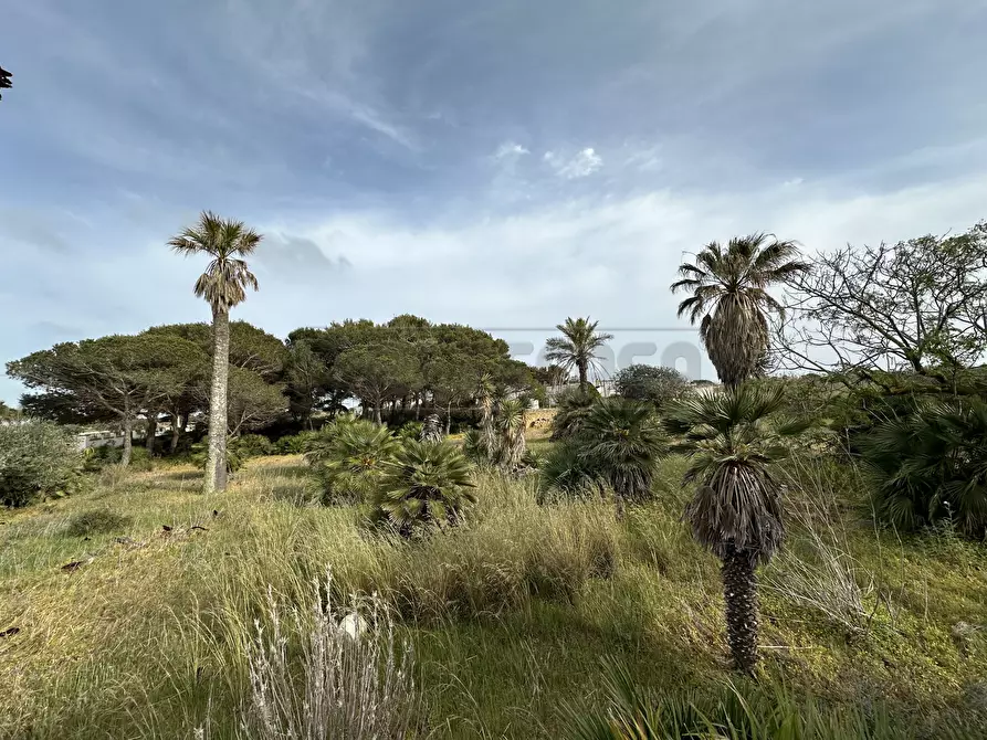 Immagine 9 di Villa in vendita  a Mazara Del Vallo