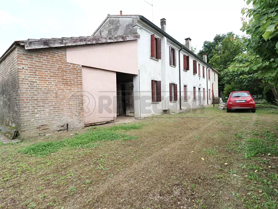 Immagine 1 di Casa indipendente in vendita  a Ficarolo
