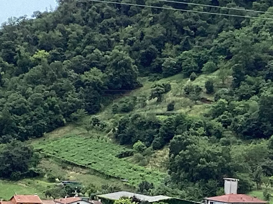 Immagine 1 di Terreno agricolo in vendita  in Via Rio a Montorso Vicentino
