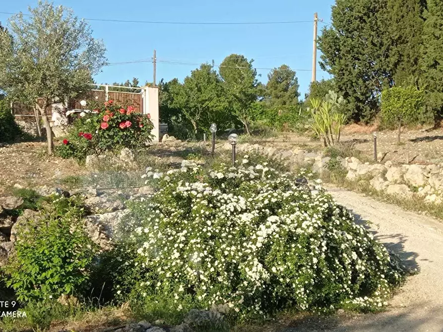 Immagine 5 di Villa in vendita  in CONTRADA PERCIATA a Caltanissetta