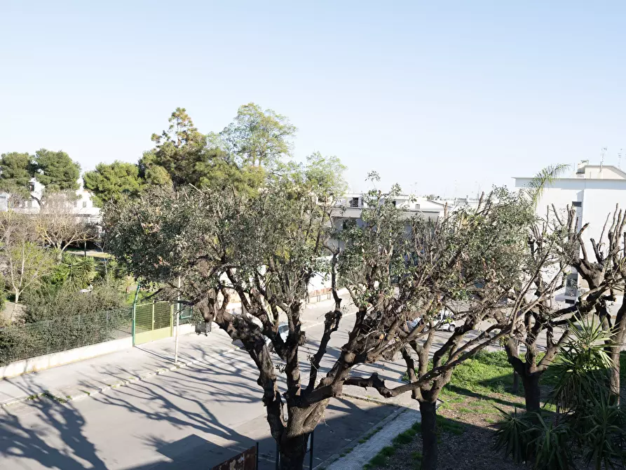 Immagine 27 di Quadrilocale in vendita  in Viale della Libertà 5 a Nardo'