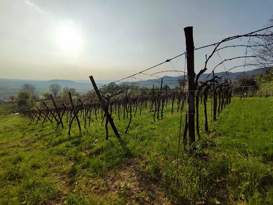 Immagine 2 di Terreno agricolo in vendita  a Brendola
