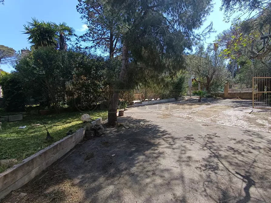Immagine 4 di Villa in vendita  in Via San Simone 79 a Sannicola
