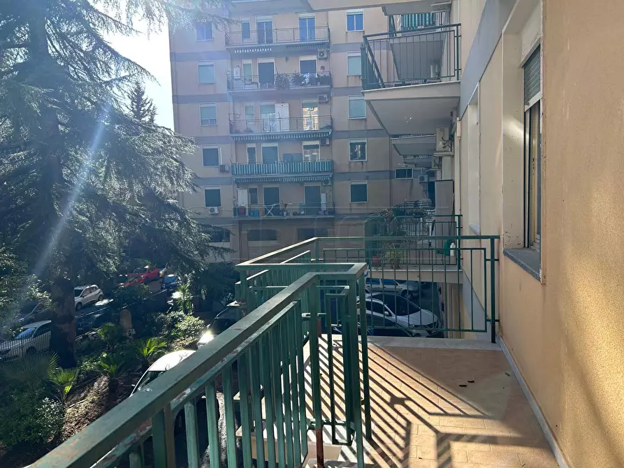 Immagine 6 di Appartamento in vendita  in VIA ENRICO MEDI 24 a Caltanissetta