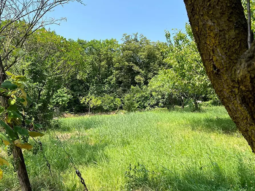 Immagine 5 di Terreno agricolo in vendita  in Via Casette 9 a Val Liona