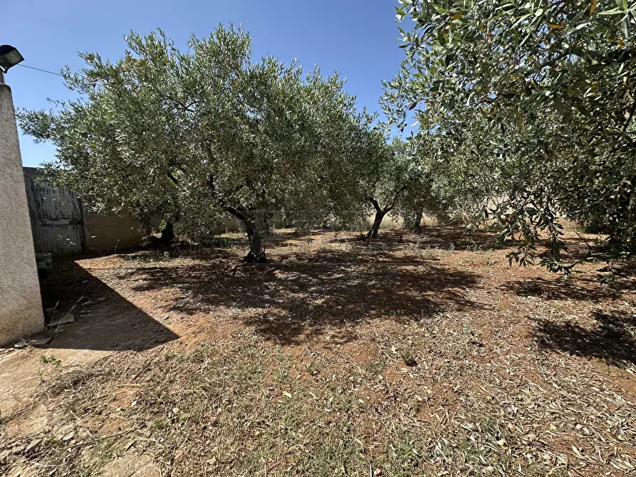 Immagine 29 di Villa in vendita  a Mazara Del Vallo