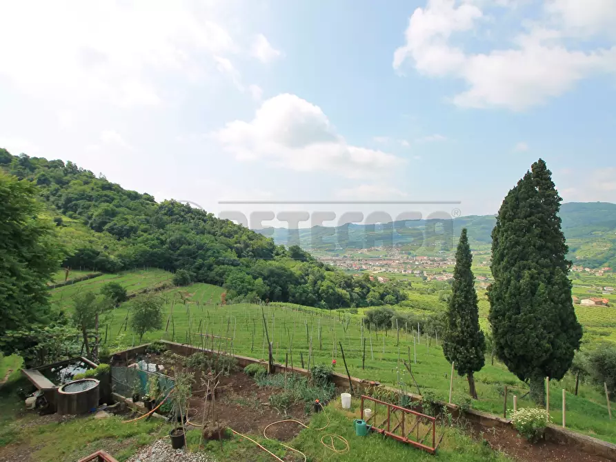 Immagine 2 di Rustico / casale in vendita  in Via Danesi di Sopra 50 a Montecchia Di Crosara