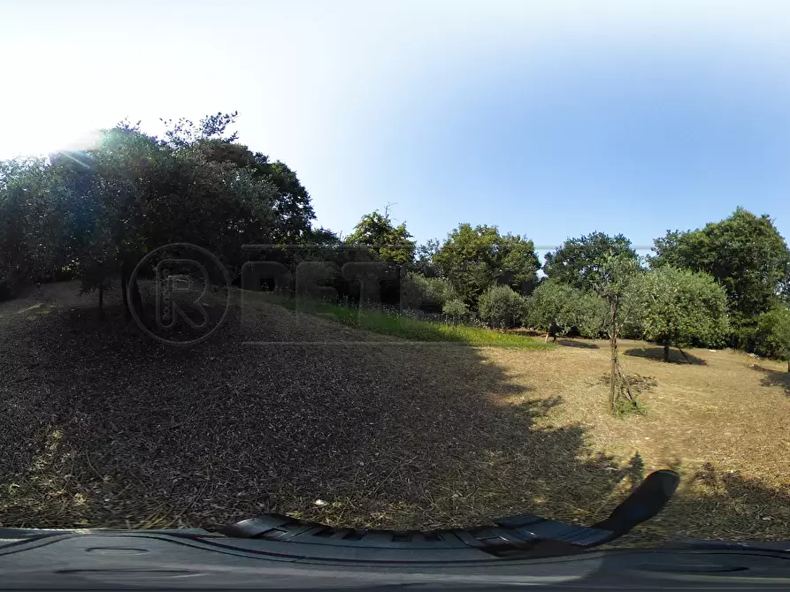 Immagine 54 di Terreno agricolo in vendita  in Via Bazziola a Monteviale