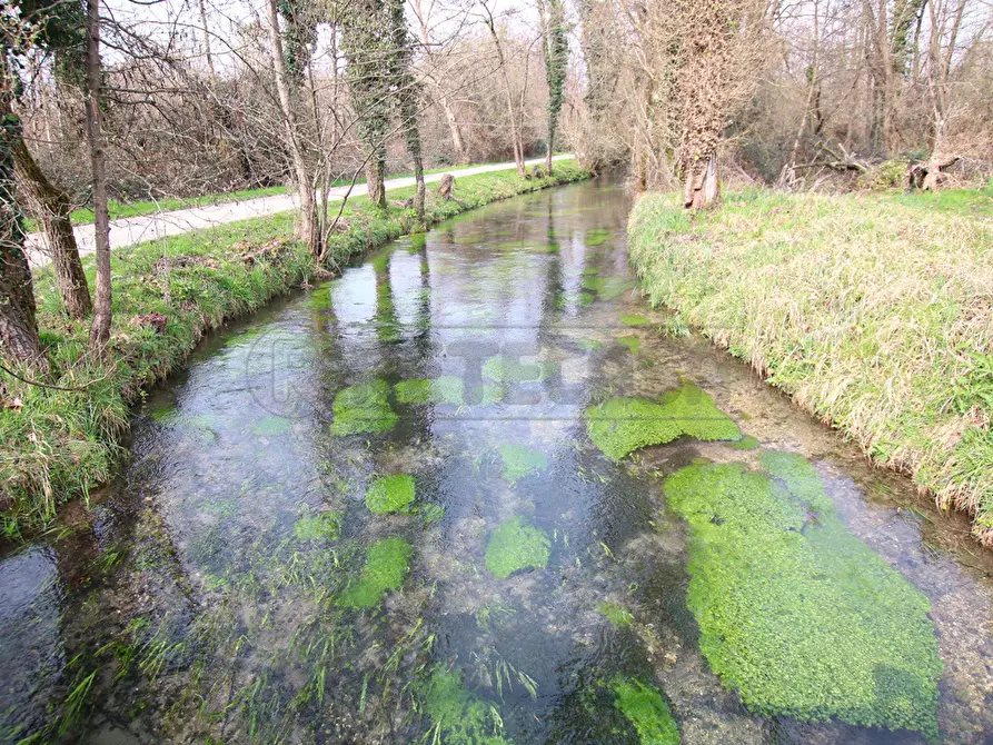 Immagine 2 di Terreno agricolo in vendita  a Villaverla