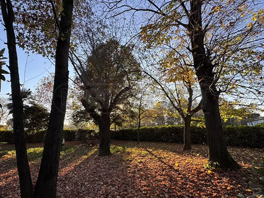 Immagine 31 di Casa indipendente in vendita  a Mirano
