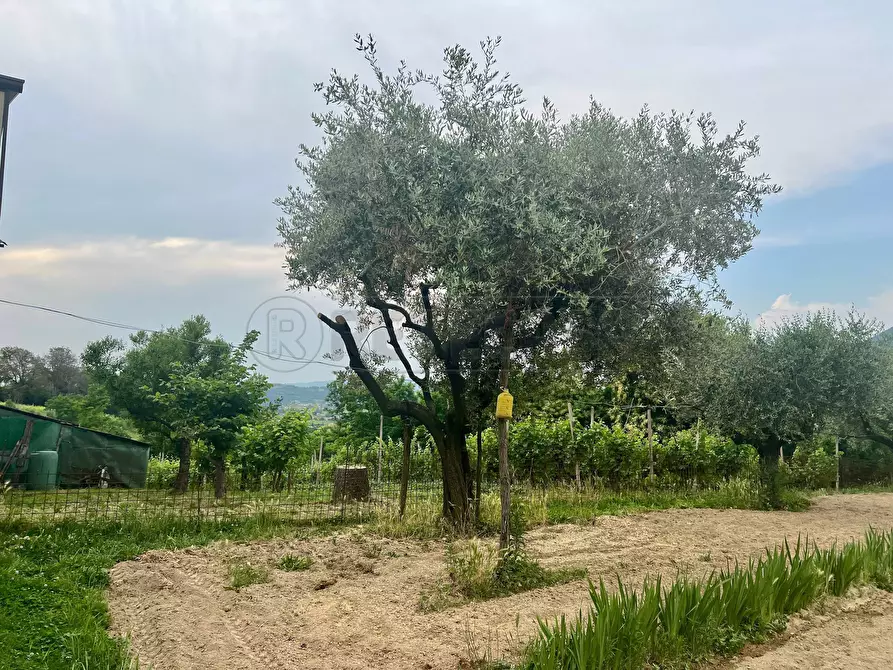 Immagine 30 di Villetta a schiera in vendita  in Via Monte Venda 516 a Vo