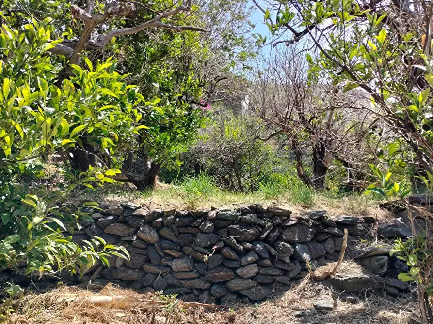 Immagine 10 di Terreno agricolo in vendita  in Vico Trave in Giampilieri Superiore 15 a Messina
